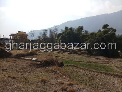 Land on Sale at Dharmasthali